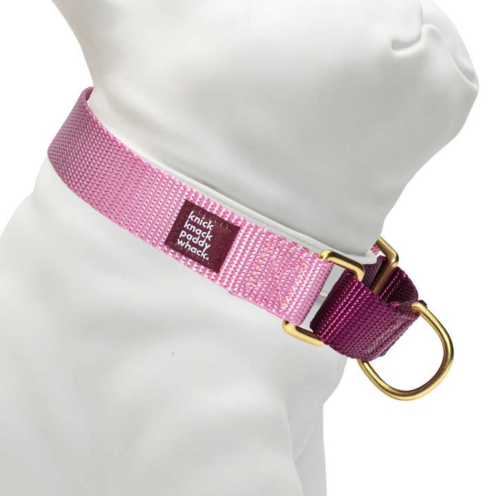 Rose & Purple Martingal för wholesale av Knick Knack Paddywhack Dog Gear