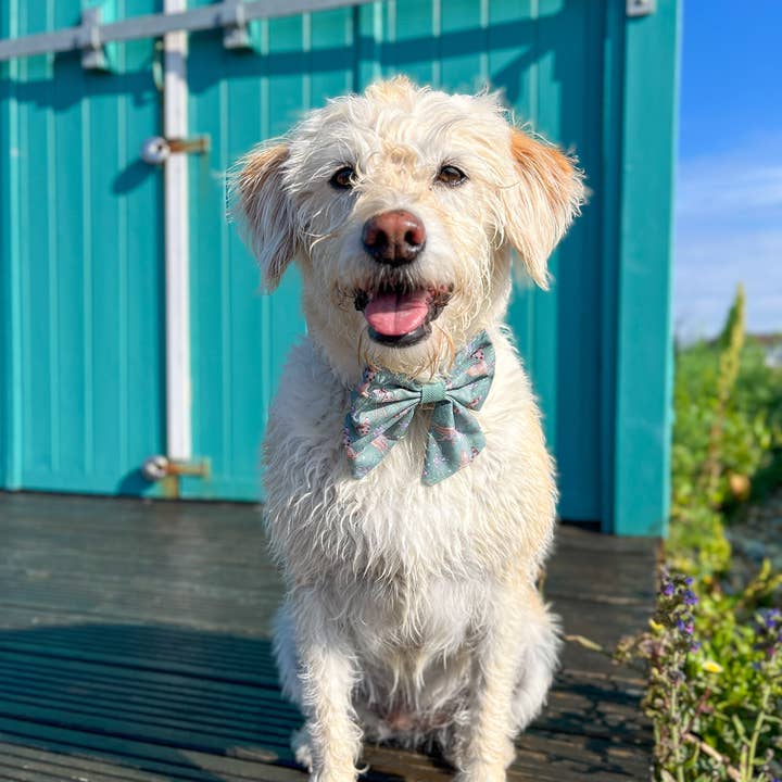 Pawsome Paws - Wholesale Pet Bow Tie - Dog - Disney© Sailor Bow Tie - Bambi + Thumper