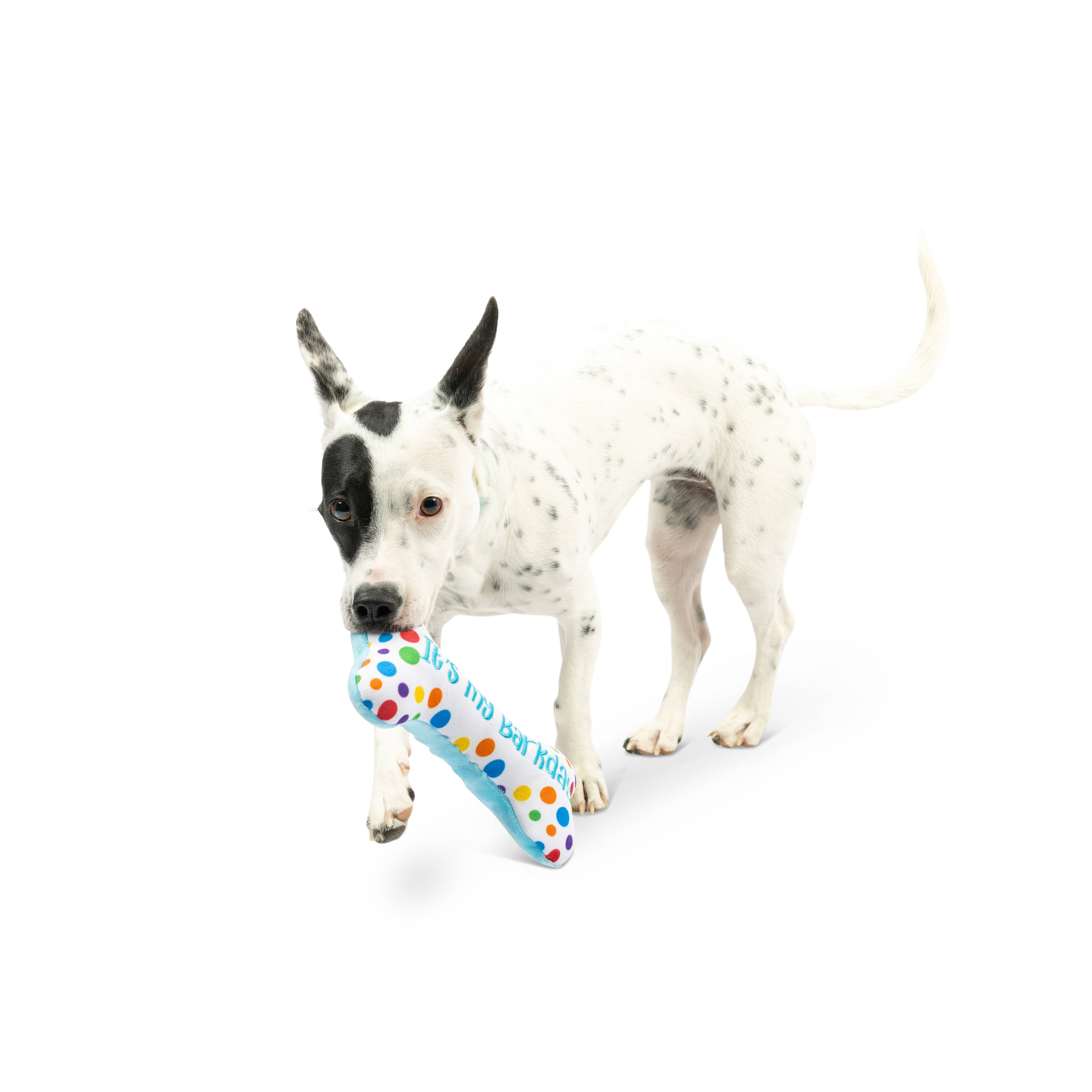 Huxley & Kent - Wholesale Pet Plush Toy - Dog - It's My Barkday Bone Dog Toy (Double Sided)10