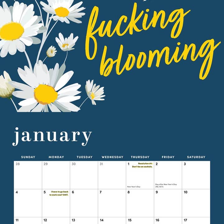 Sourcebooks - Wholesale Calendar - 2026 She Believed She Could So She F*cking Did Wall Calendar1