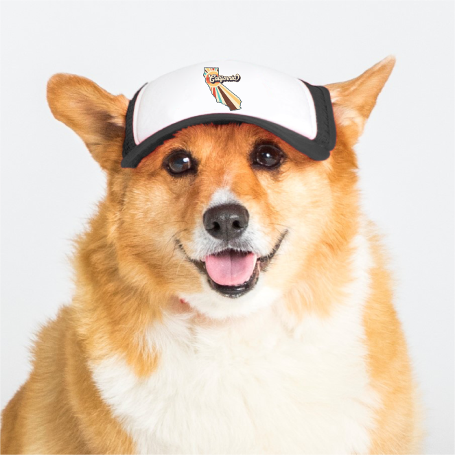 PupLid - Wholesale Pet Hat - Dog - Vintage State | Trucker Hat for Dogs58
