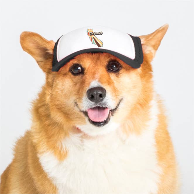 PupLid - Vendita all'ingrosso Cappello - Cani - Vintage State | Cappellino trucker per cani58