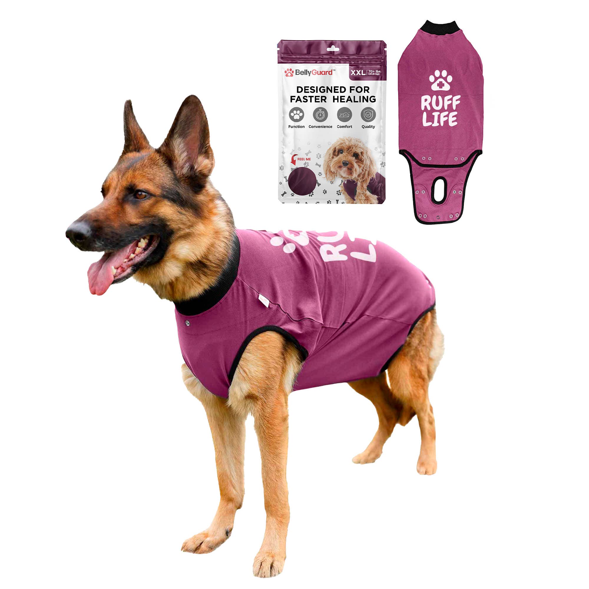 Marron Combinaison de Récupération BellyGuard pour Chiens - Bordeaux en vente sur Faire7