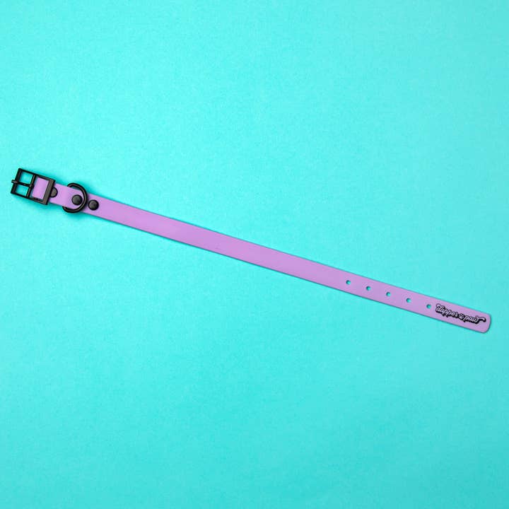 *SOLDE* Collier imperméable pour chien en PVC - Lilas pour la vente par The Dapper Paw