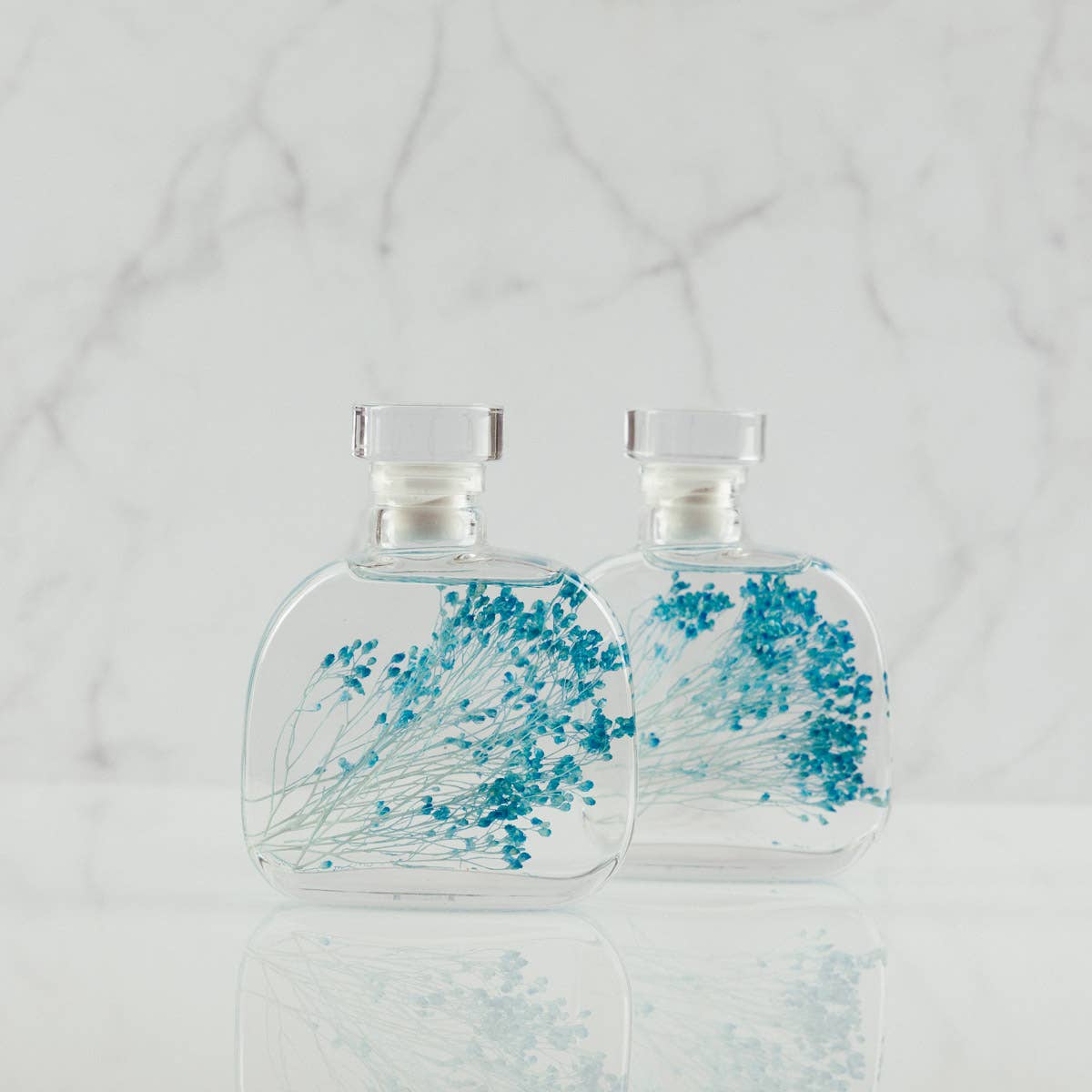 Theophile Berthon - Vente Plante - L'Herbarium Capsule- Broom bloom bleu-plante immergée6