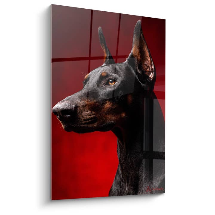 Tableau Portrait de Doberman Noir et Feu sur Fond Rouge - Noblesse Canine - Edition Doberman pour la vente par Walensky