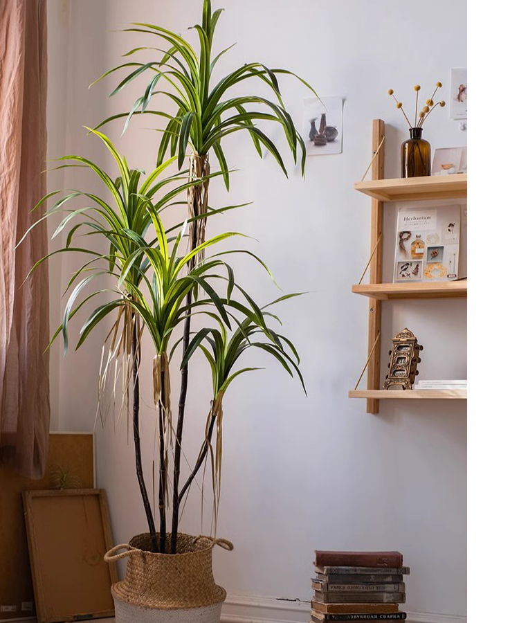 Rustic Reach - Wholesale Artificial Plant - Artificial Dracaena Tree4