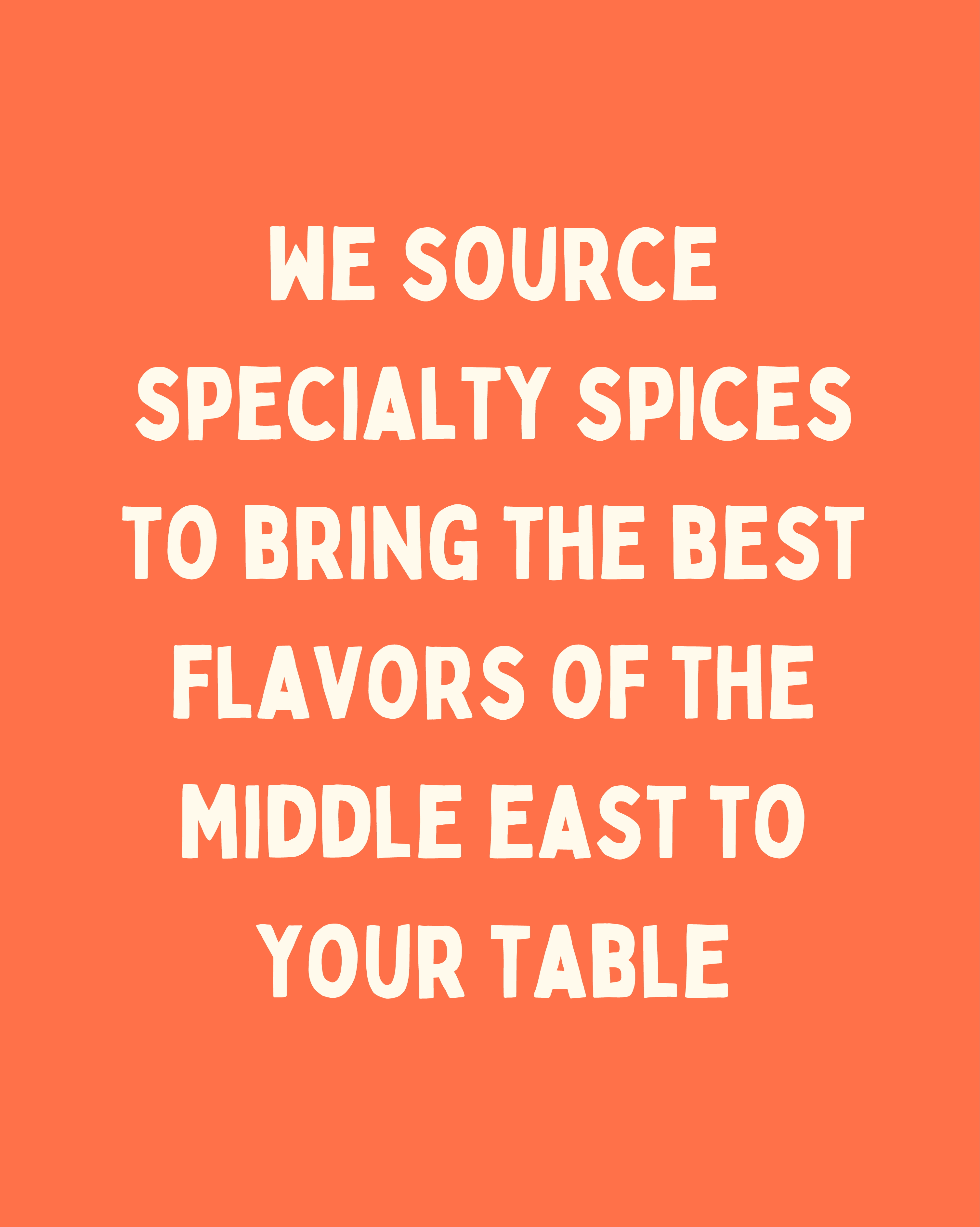 Z&Z - Wholesale Dried Spice Mix - Shawarma - House Blend7