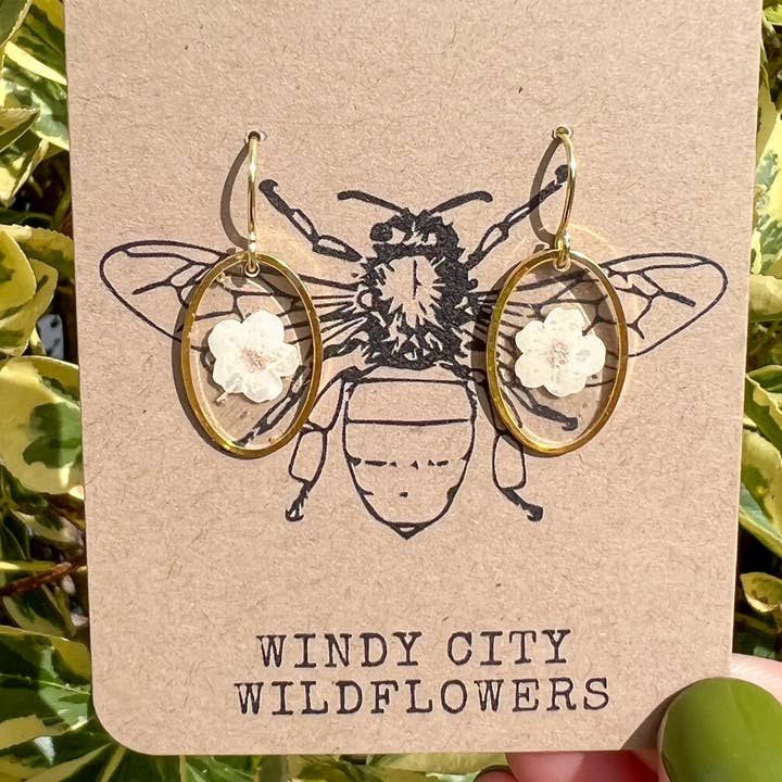 Forget Me Not Earrings Pressed Flower Earrings Gold Earrings for wholesale by Windy City Wildflowers