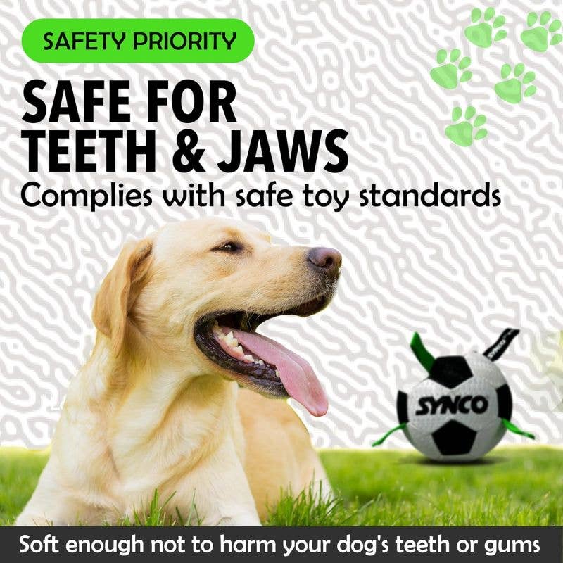 GICO Spielwaren - Vendita all'ingrosso Palla da riporto  - Cani - Palla per cani con maniglie per cani di taglia media e grande #45