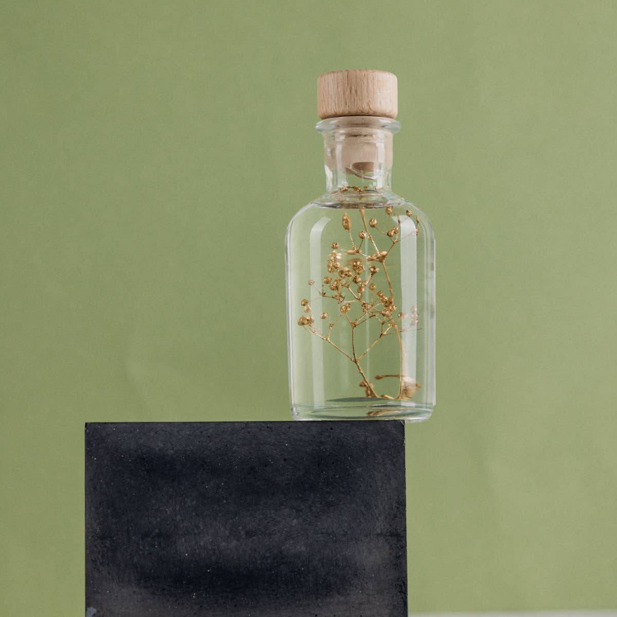 Theophile Berthon - Vente Plante - L'Herbarium Gypsophile Or - plante immergée27