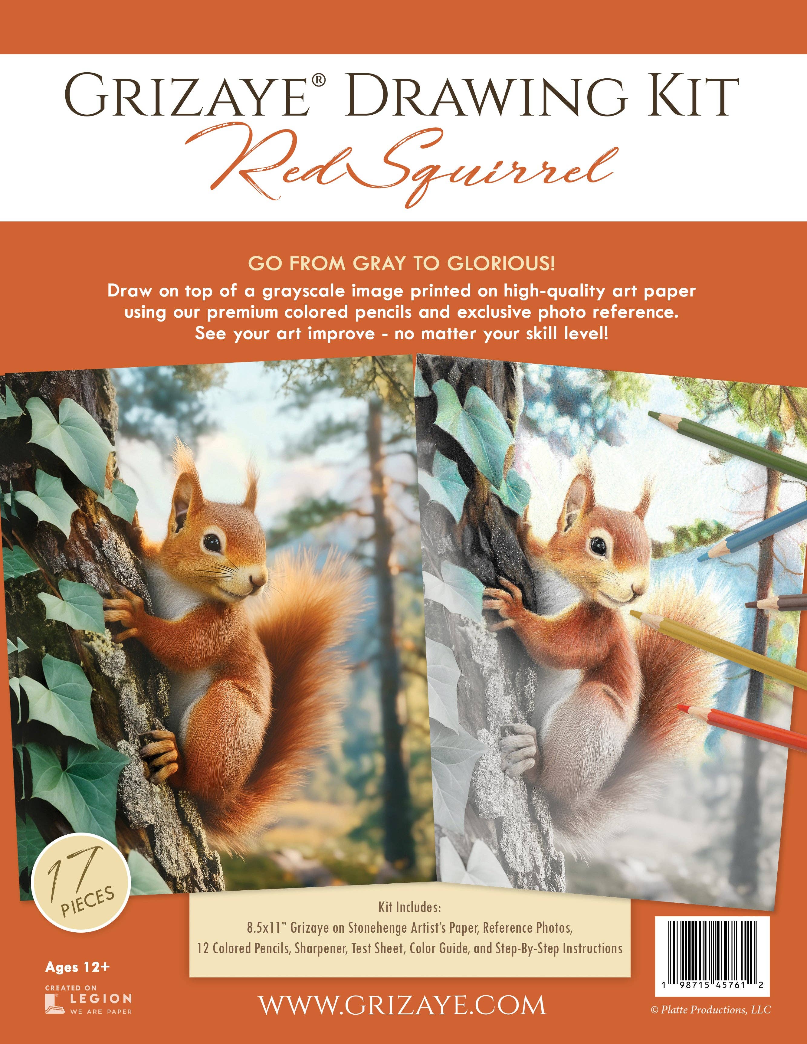 Grizaye - Wholesale DIY Craft Kit - Drawing Kit: Red Squirrel1