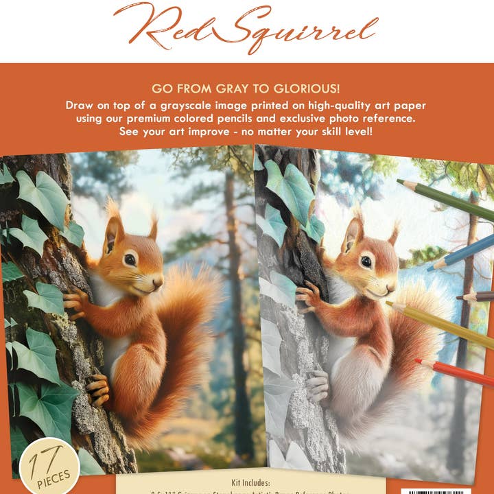 Grizaye - Wholesale DIY Craft Kit - Drawing Kit: Red Squirrel1