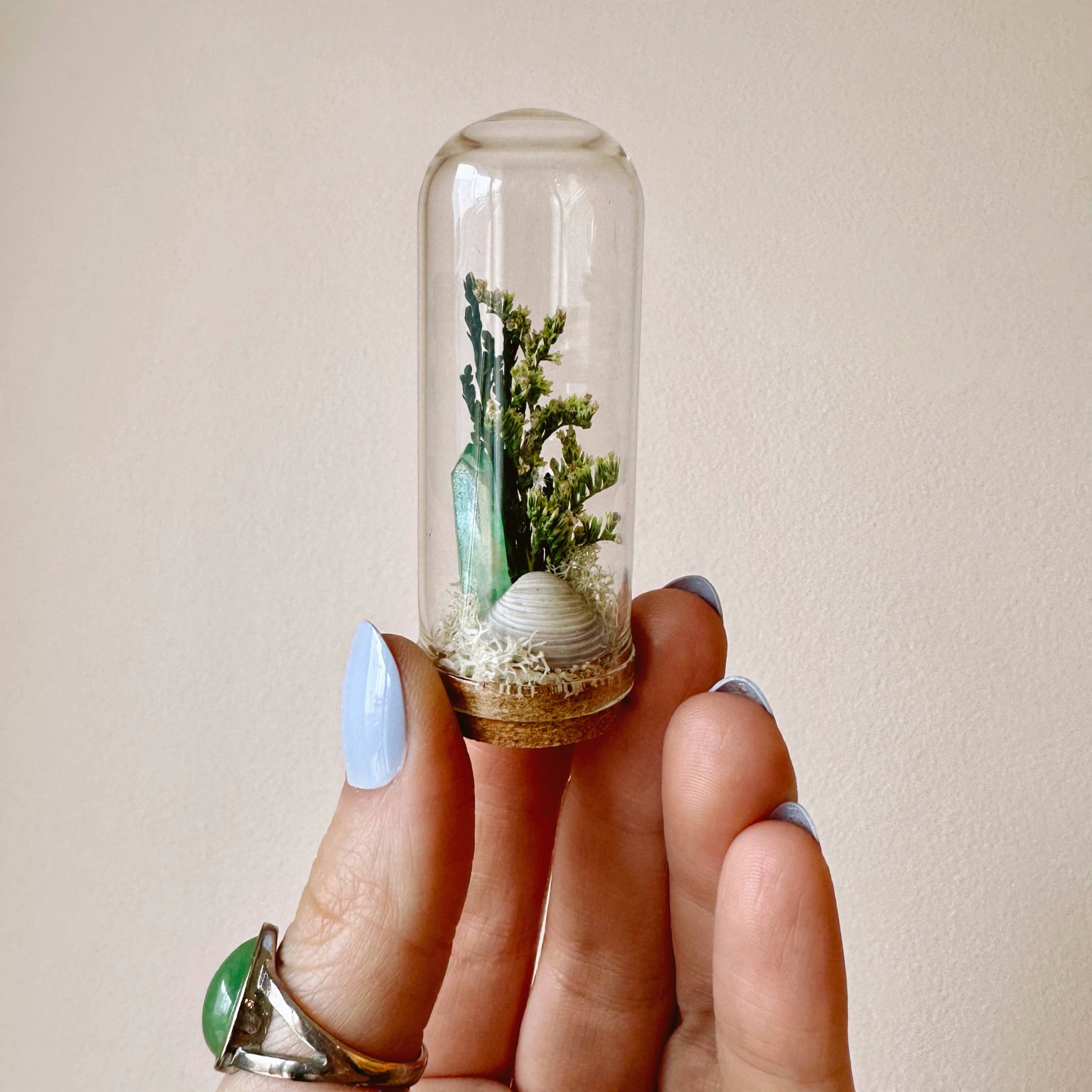 CA Studios - Wholesale Terrarium - Beach Mix Mini Terrarium Crystal Ocean Curiosity Jar7