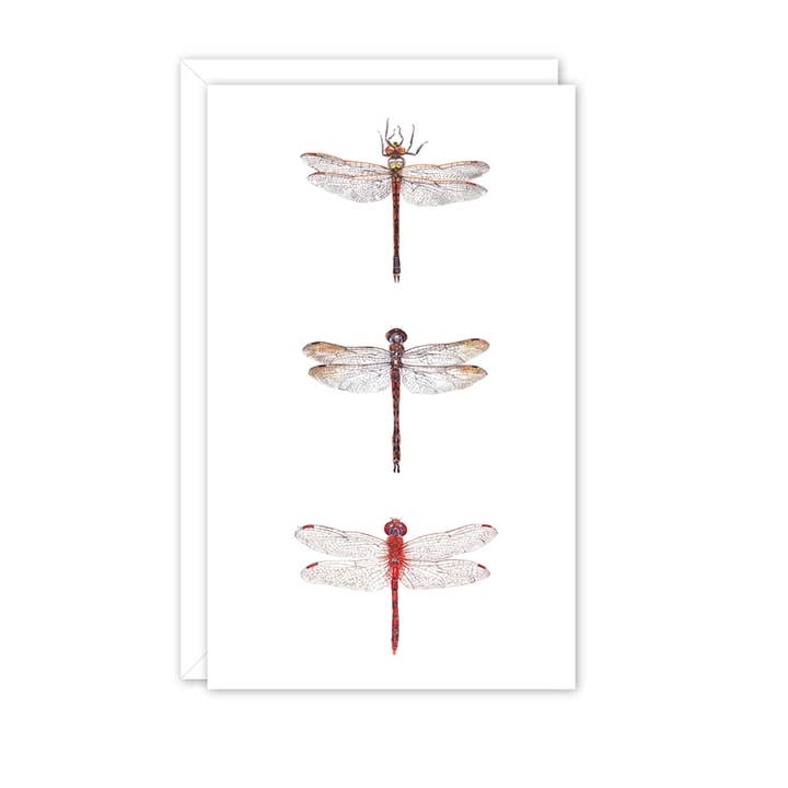 Small Card: Dragonflies for wholesale by STUDIO NIKULINSKY