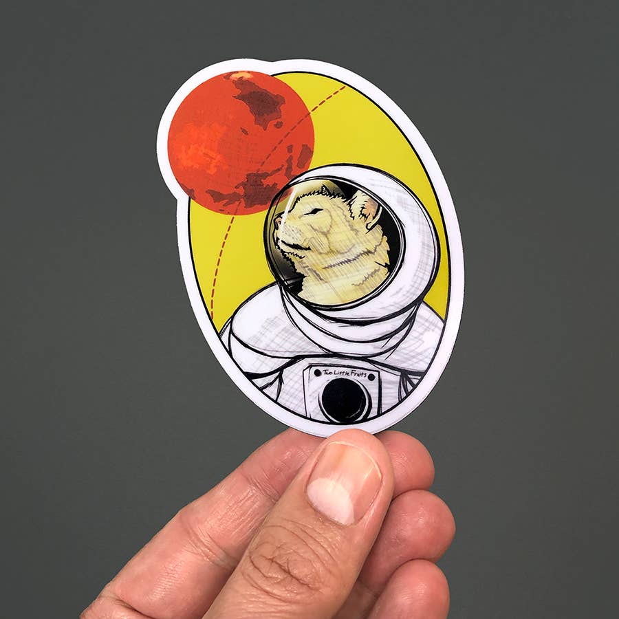 Two Little Fruits - Wholesale Sticker - Stickers Astronaut Cat Sticker – Gift-Ready & Eye-Catching1