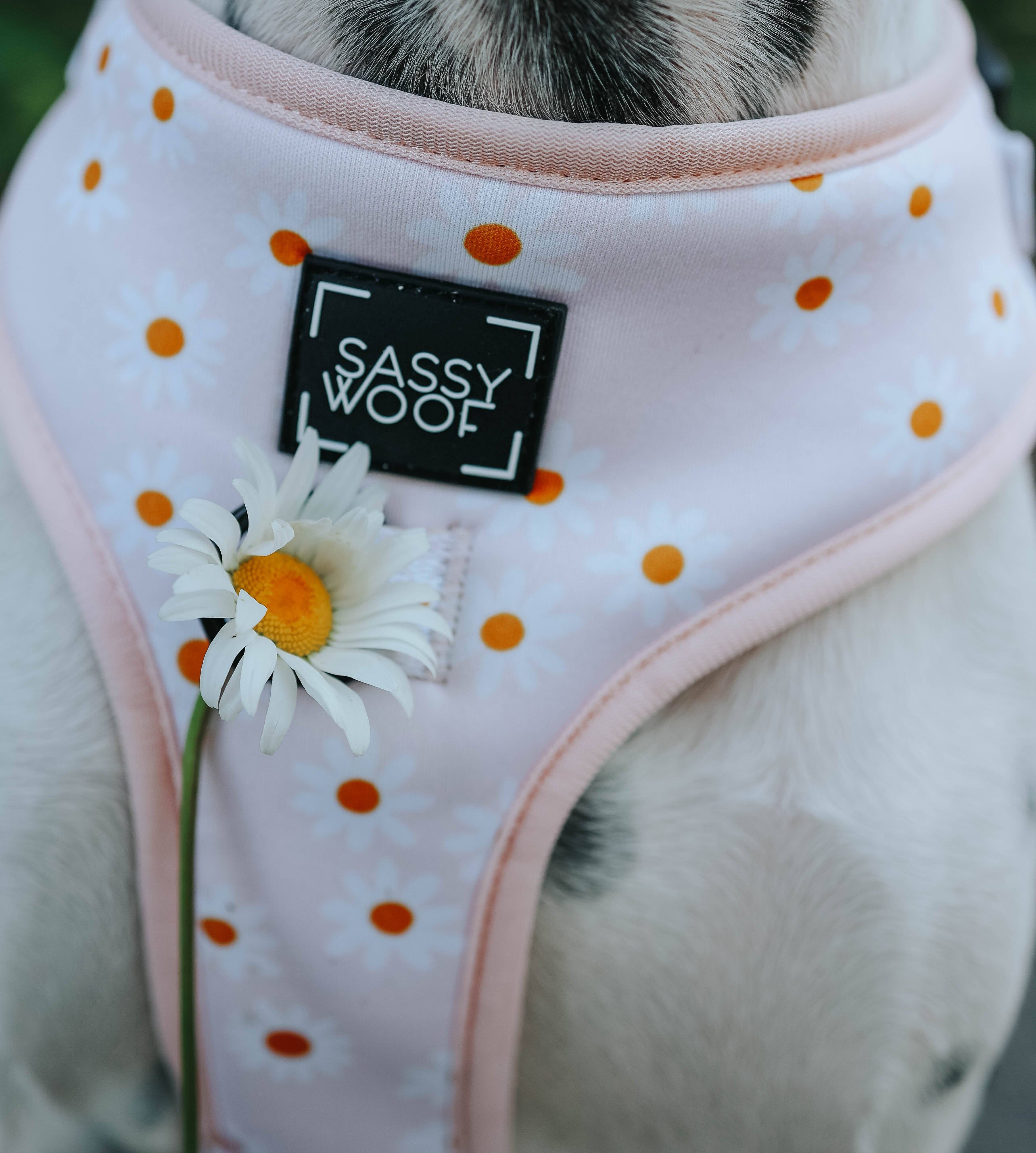 SASSY WOOF - Wholesale Pet Harness - Dog - Dog Adjustable Harness - Dainty Daisy17