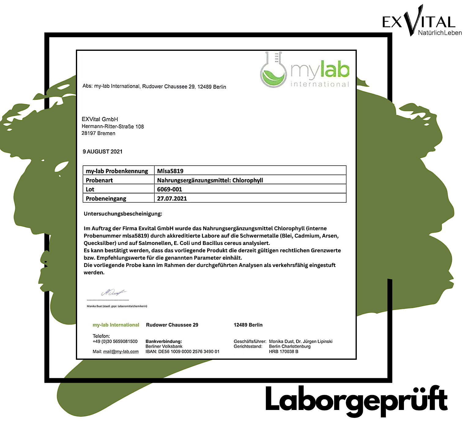 EXVital – Großhandel Nahrungsergänzungsmittel/Vitamin zum Einnehmen – Liquid Chlorophyll aus Alfalfa - hochdosiert6