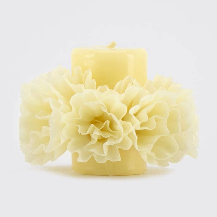 VAXBLOMMOR LJUS/CHICA för wholesale av Utilitario Mexicano