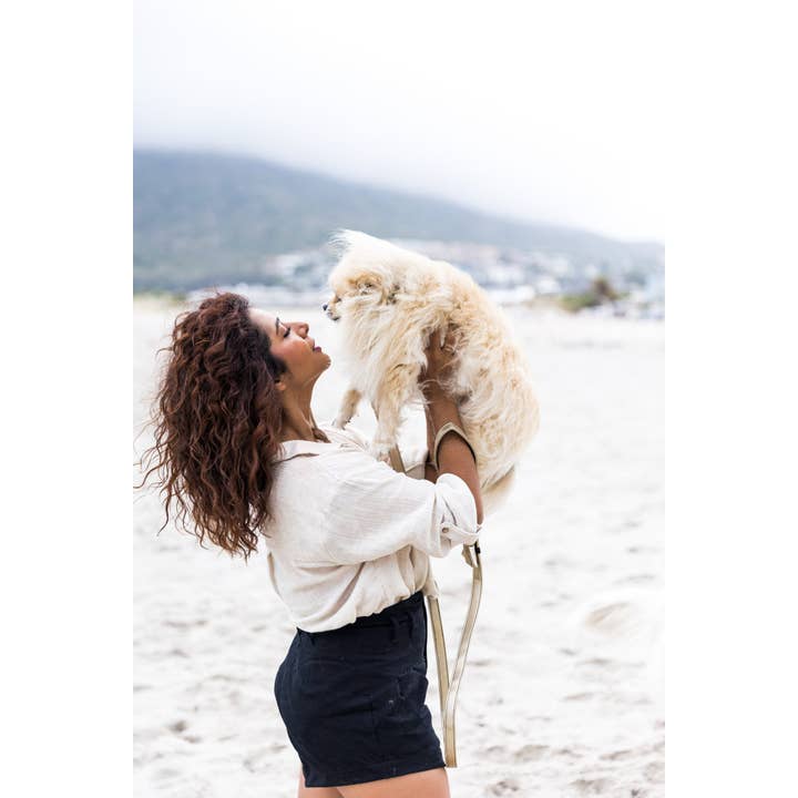 Studio Proud - Wholesale Pet Collar - Dog - Collar Gold Snake1