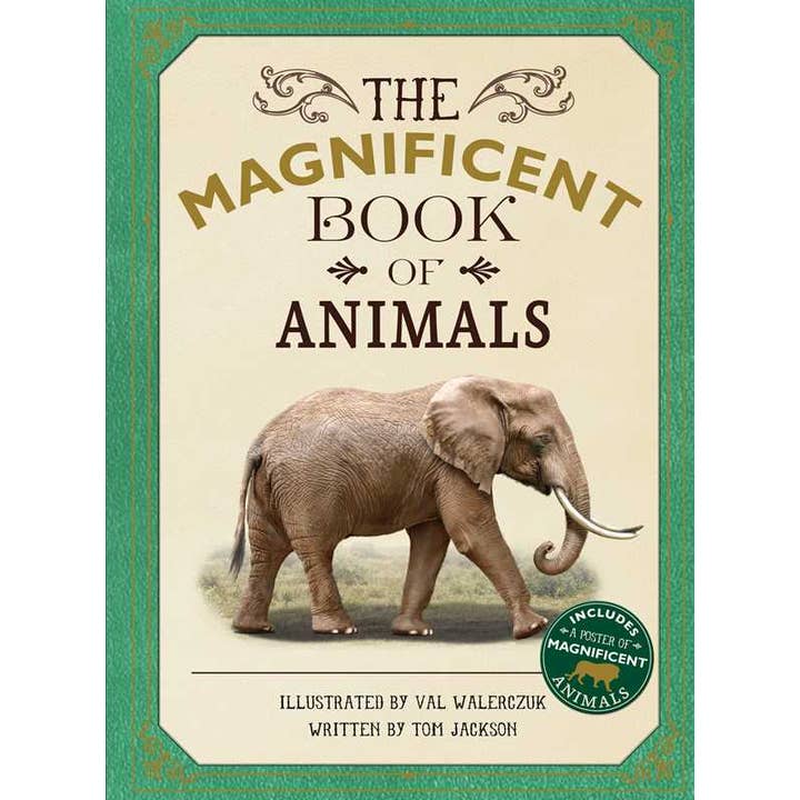 Magnificent Book of Animals by Tom Jackson for wholesale by Simon & Schuster
