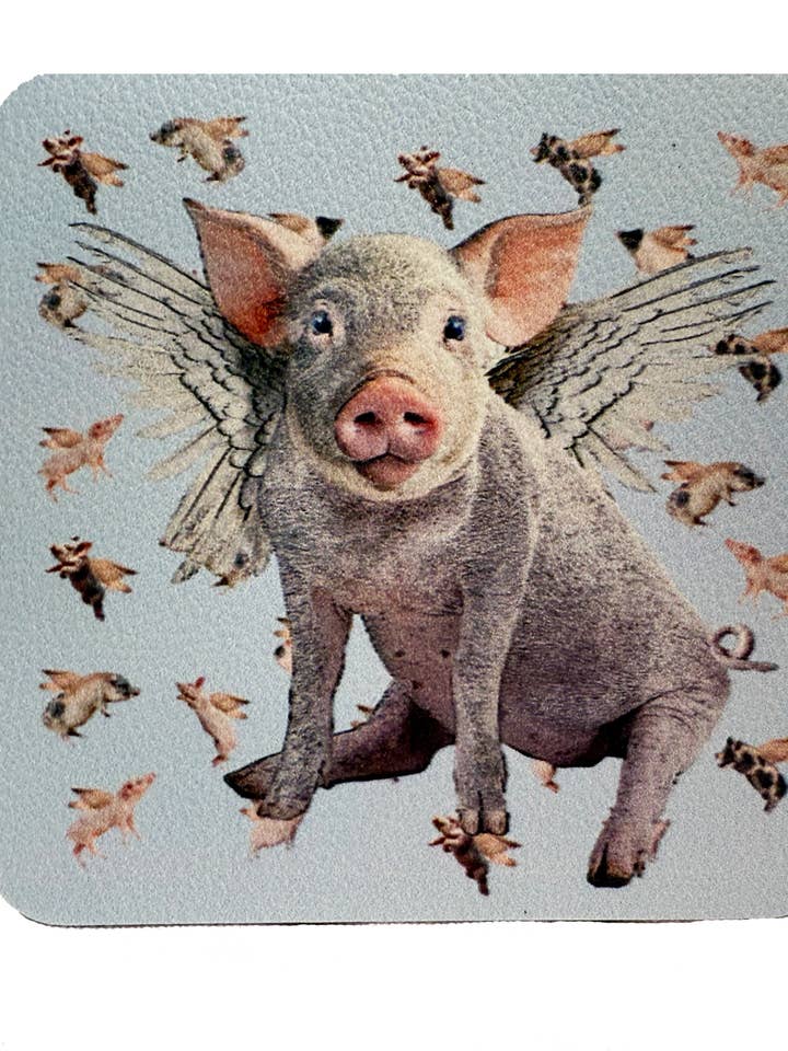 flying pig coaster for wholesale by Alphie and Ollie