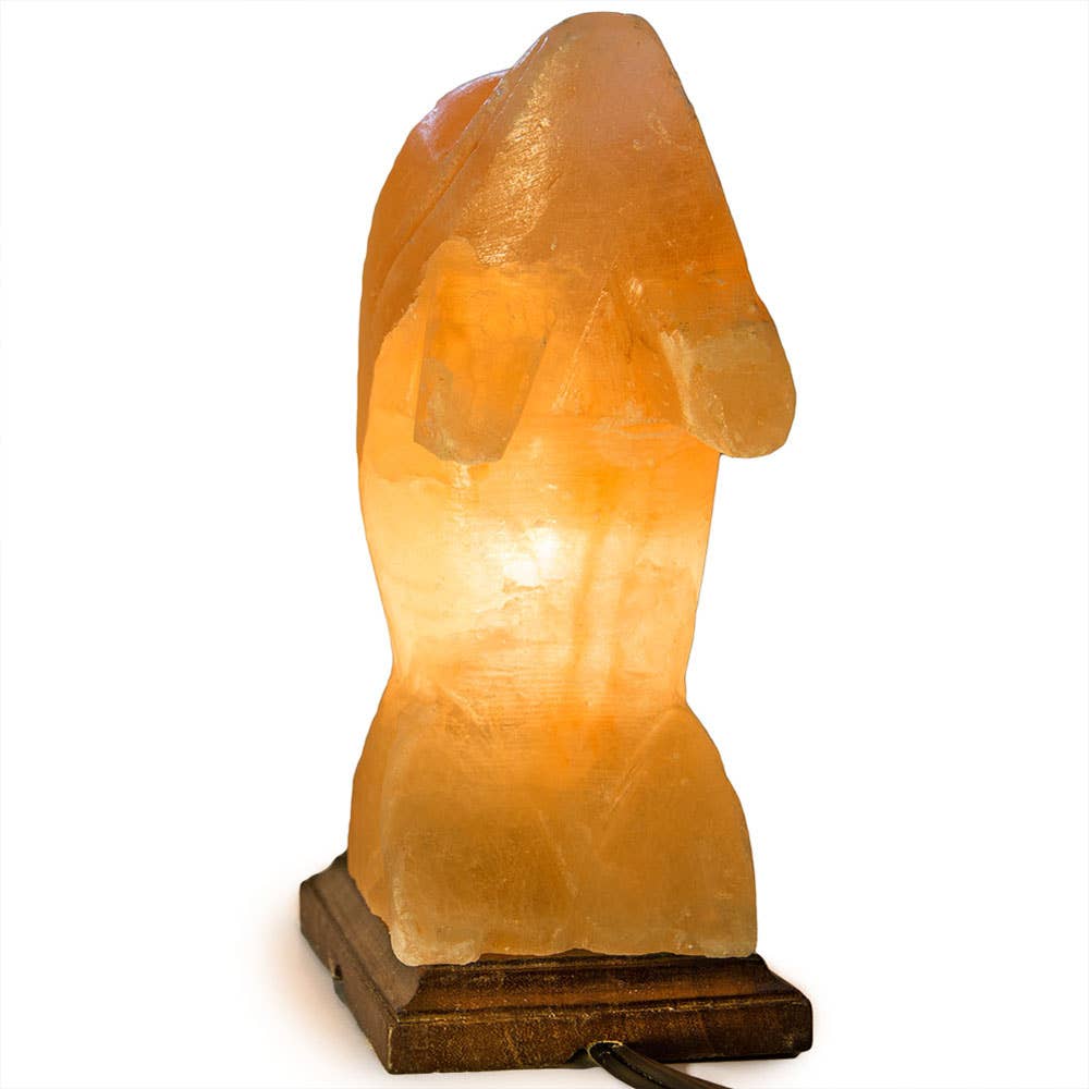 Fantasia Mining – wholesale Saltlampa – Delfinformad saltlampa - 10" genomsnitt. - sladd, glödlampa, dimmer2