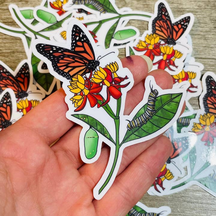 Monarch Butterfly Life Cycle Milkweed stickersticker voor wholesale door Flying Fawn Studio