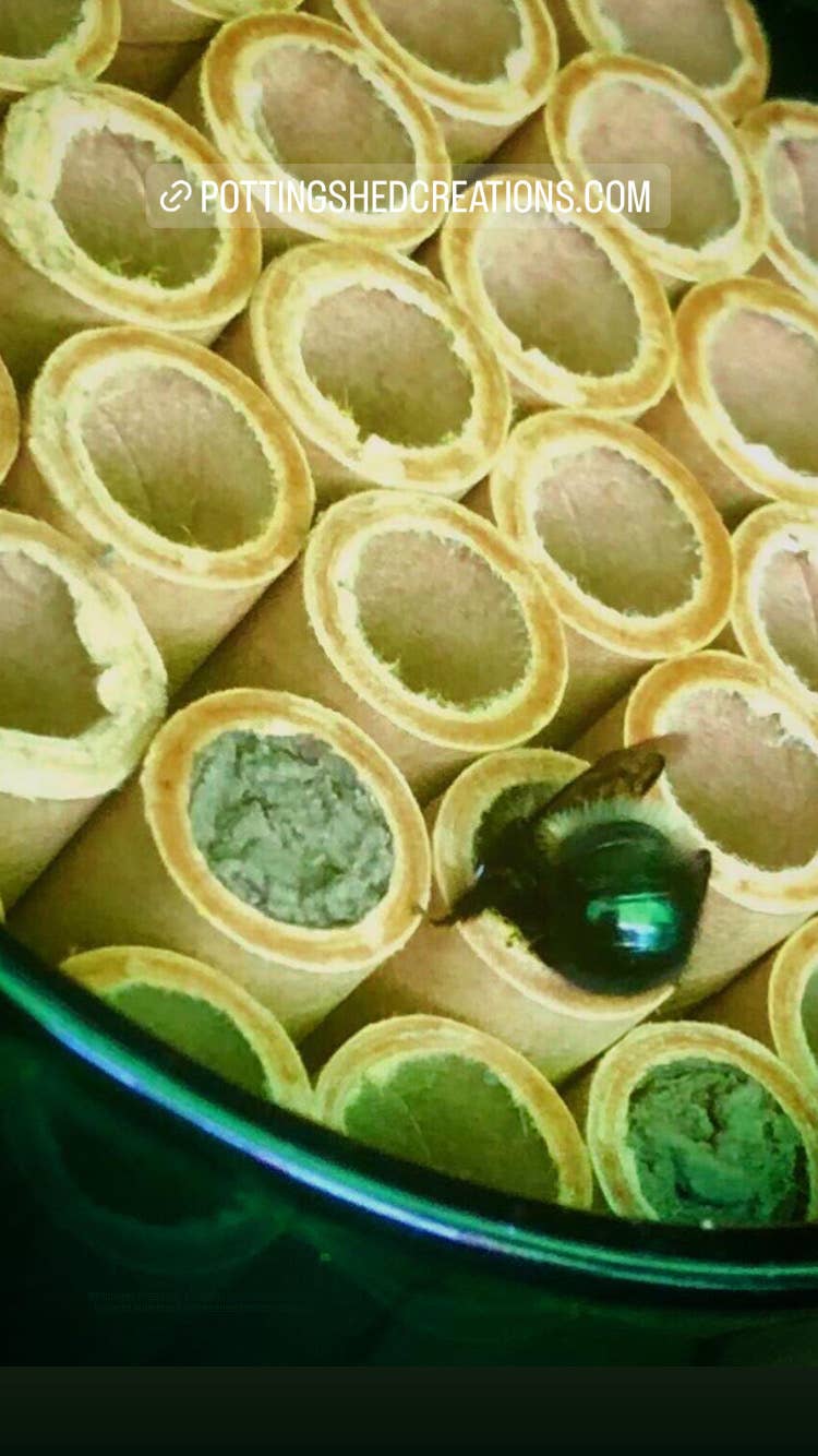 Potting Shed Creations, Ltd. - Wholesale Bird House - Handmade Bee Habitat House | Christmas & Holiday Gift Idea2