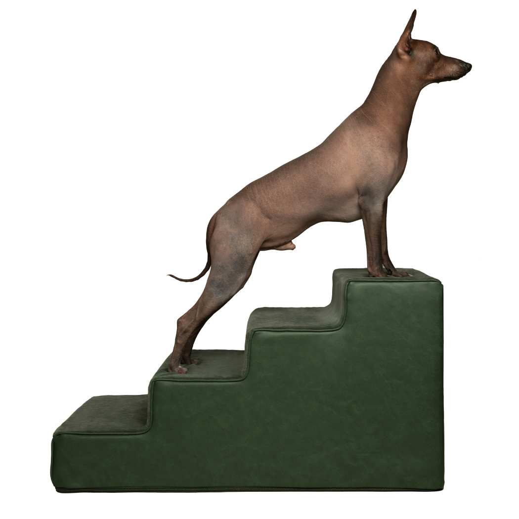 NOAH AND PAW LLC – wholesale Trappsteg och ramper - Katt och hund – Lyxiga hundtrappor för säng, konstläderkollektion, mörkgrön1