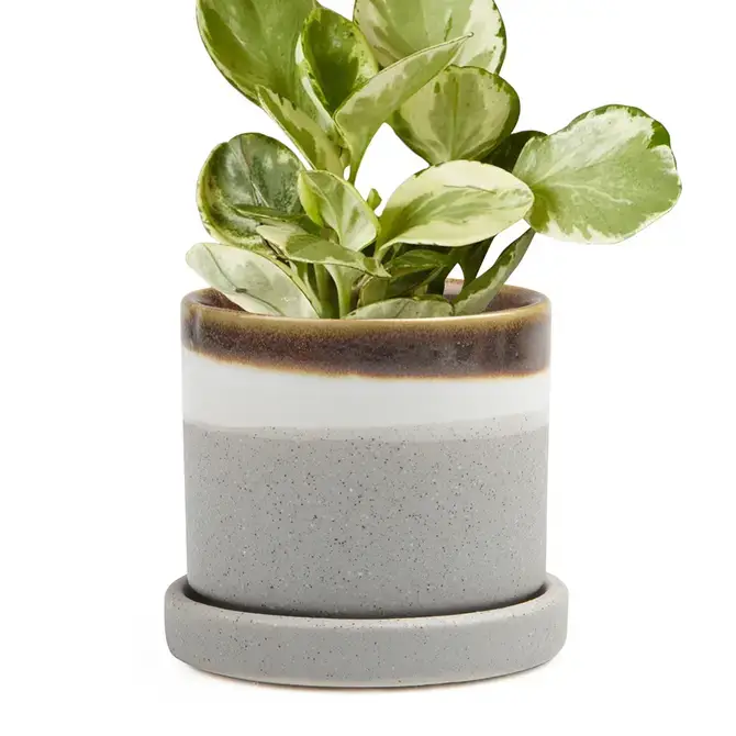 Chive UK - Wholesale Plant Pot - Minute - Glazed Modern Ceramic Pot with Saucer26