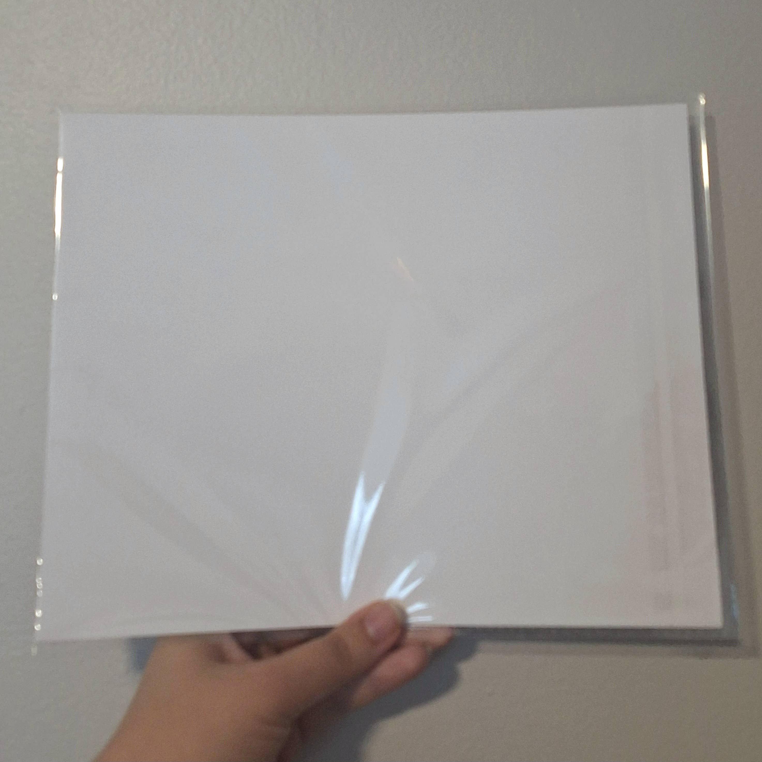 Gen Aumonier Art - Wholesale Photograph - Garlic, Onion, & Honey 8"x10" Signed Photography Art Print7