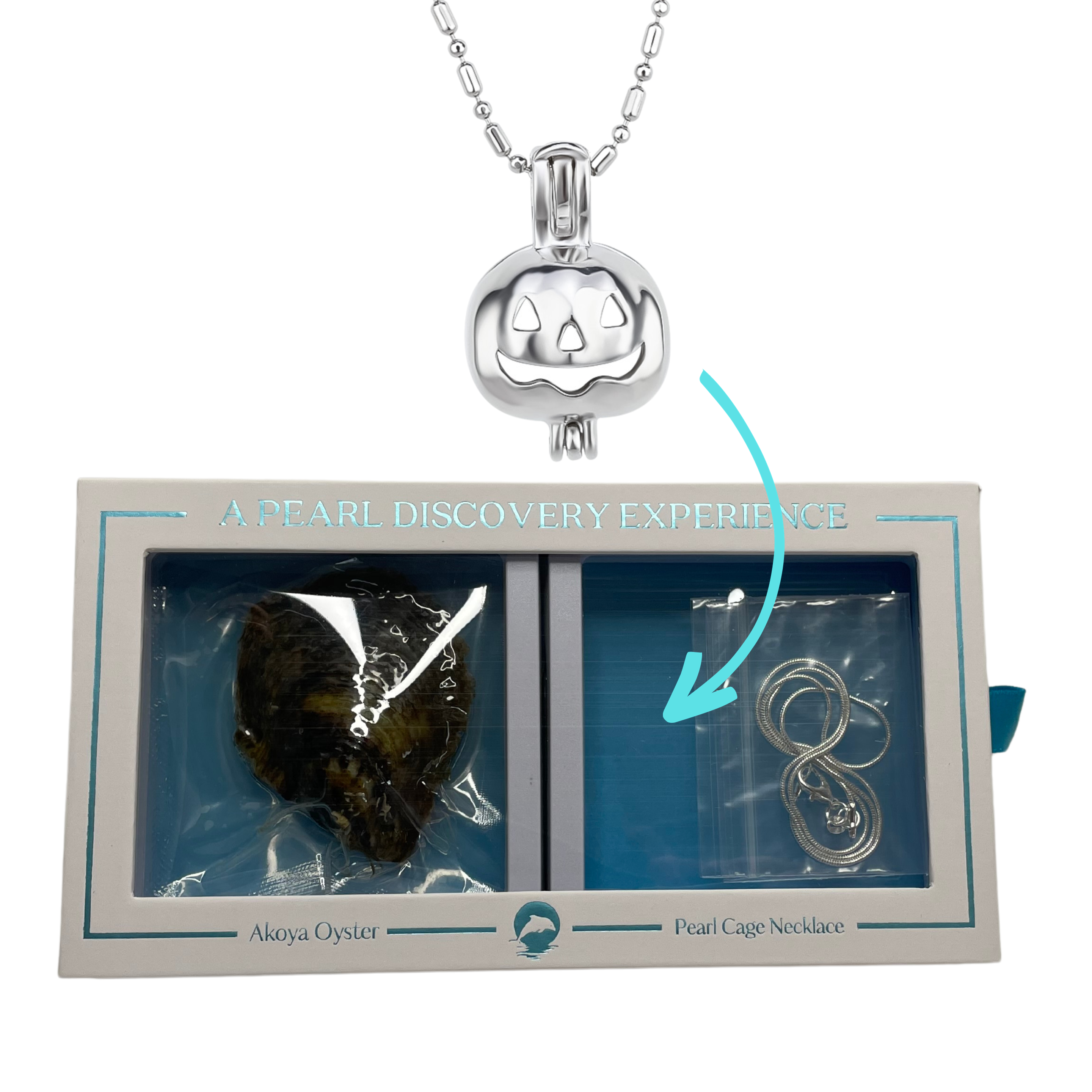 Island Pearl Traders - Wholesale Jewelry Set - Jack O Lantern - DIY Oyster and Necklace Box Set0