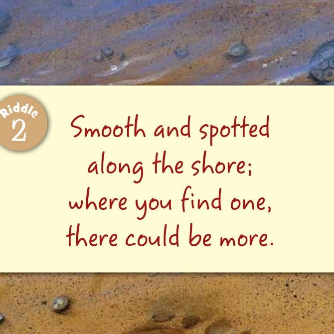 Sleeping Bear Press - Wholesale Book - Kids - Little Michigan Board Book1