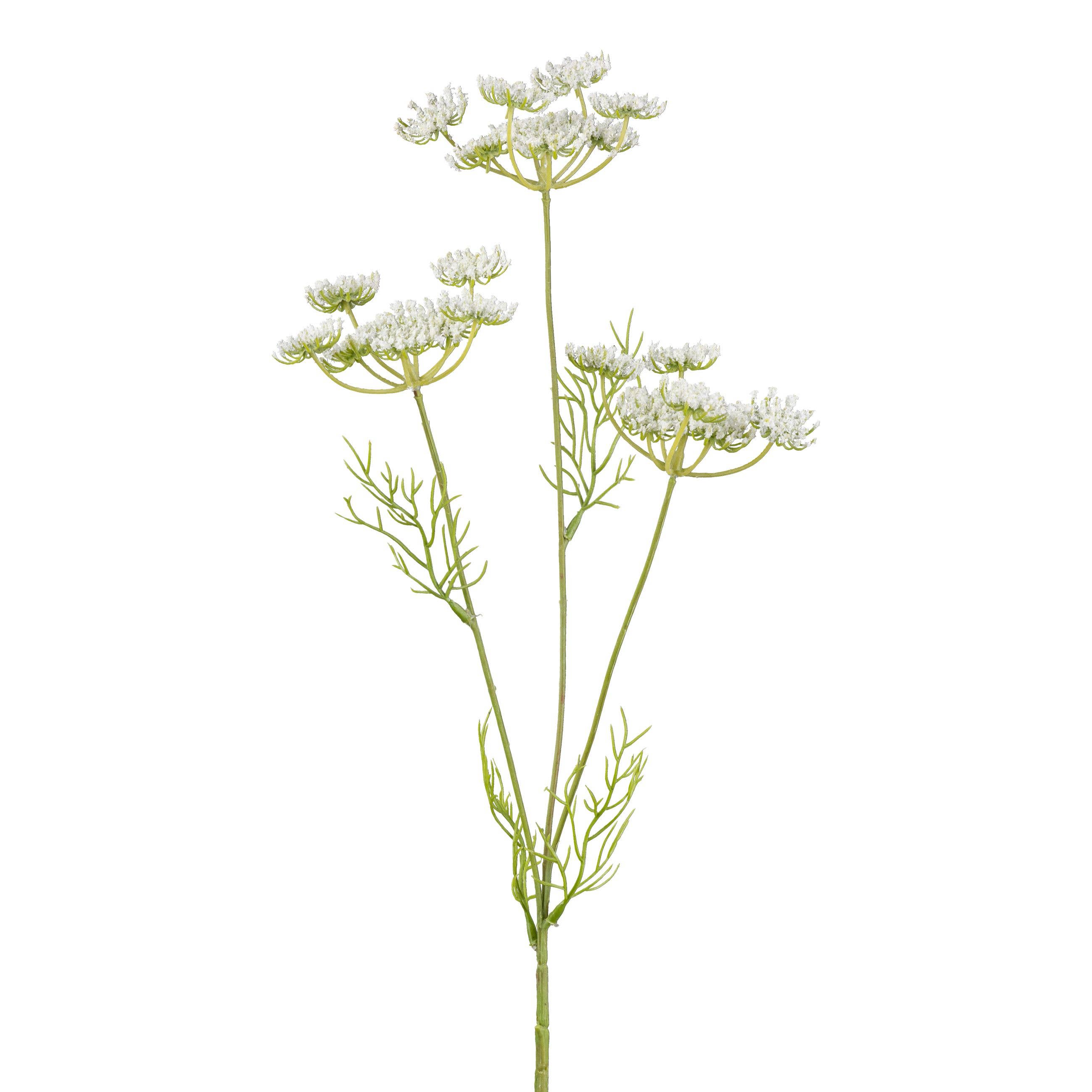 GASPER GmbH – wholesale Konstgjorda blommor – Ammi Majus, 50 cm, vit0