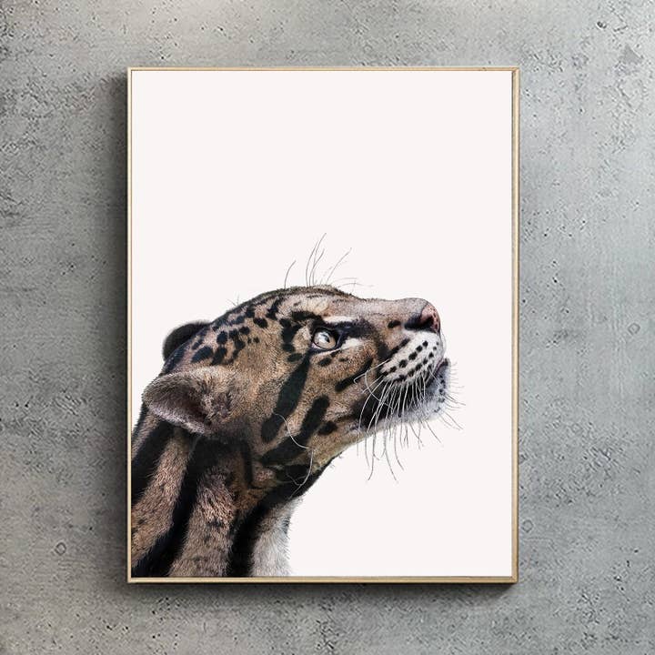 Clouded leopard - Print A1/A2 (portrait) for wholesale by Hidden Planet