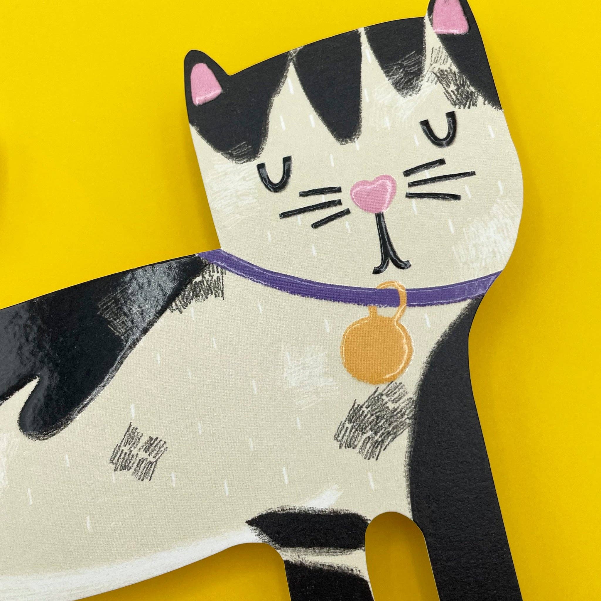 Raspberry Blossom - Vendita all'ingrosso Biglietti di auguri generici - Gatto Bianco e Nero (PAW05)1