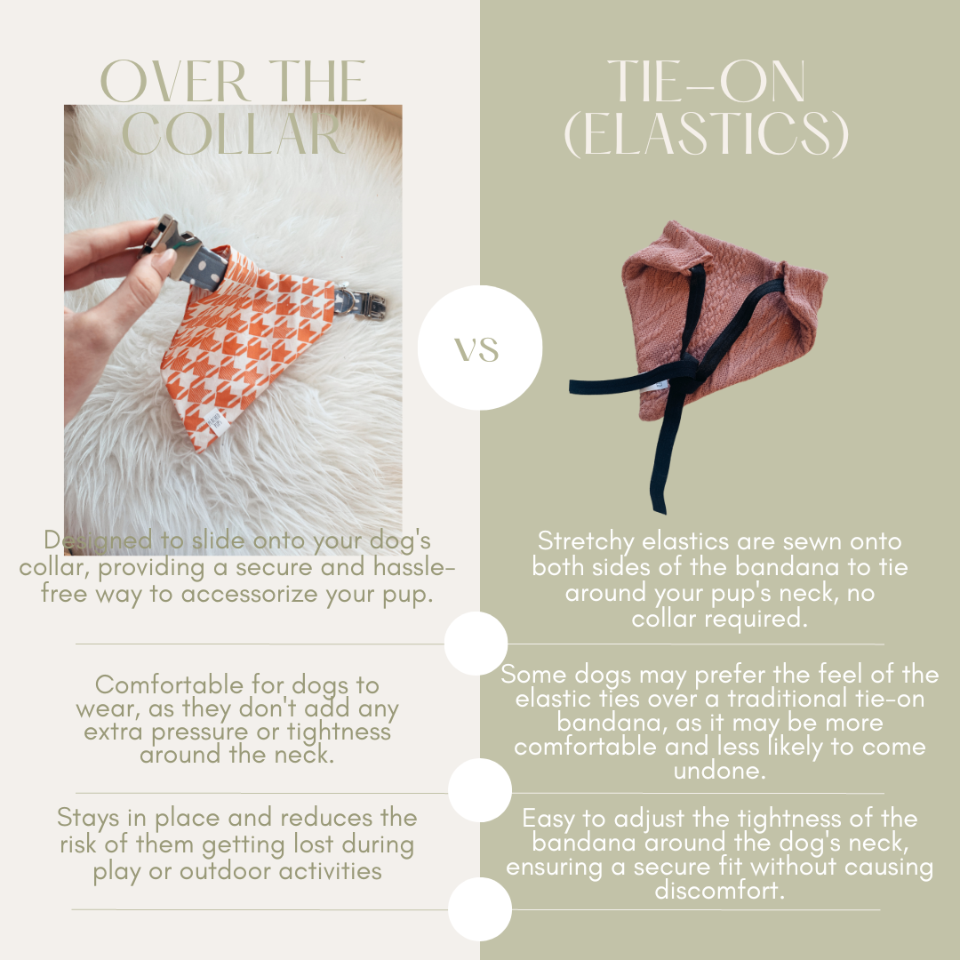 Peached Pups - Vendita all'ingrosso Bandana - Cani - Bandana per cani Retro Arcobaleno2