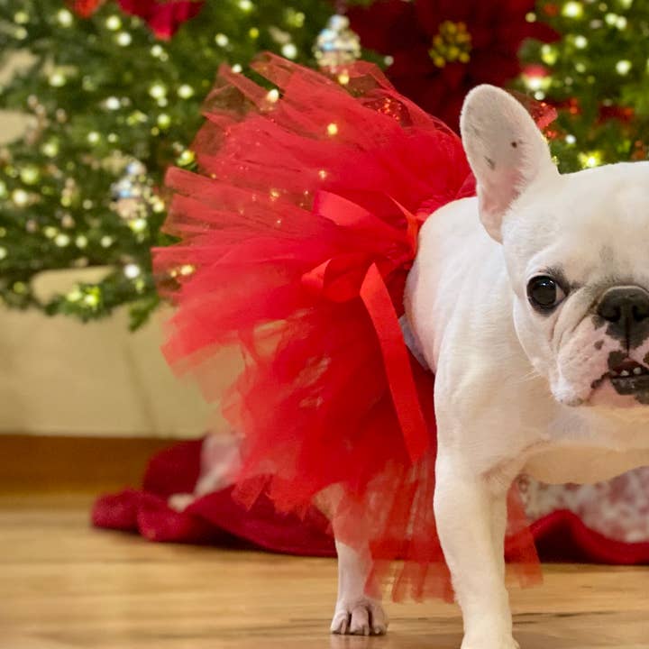 Christmas Red Dog Tutu | Dog Skirt Outfit in Red | Dog Dress for wholesale by Tutu Joli LLC