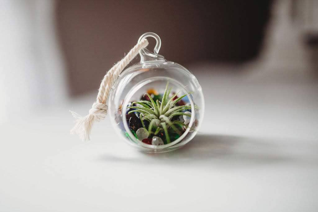 The Simply Crafty Shop - Wholesale Terrarium - Mini Orb Air Plant Terrarium Kit - Semi-Precious Stone4