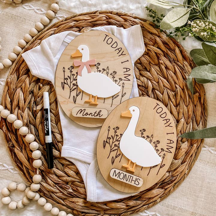 Goose Monthly Milestone Dry Erase Sign for wholesale by Claire and Bella