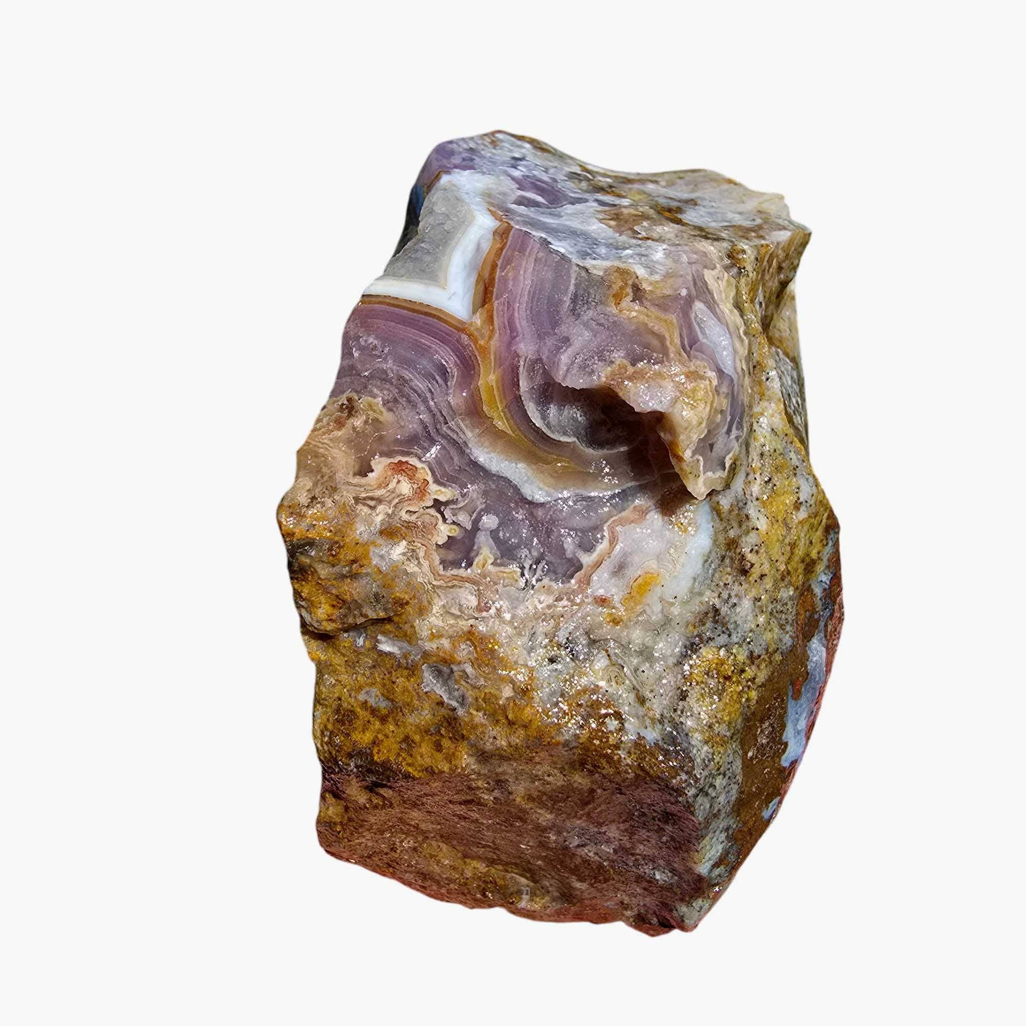 Lapidary Central – wholesale Andlig sten/kristall – Agua Nueva Agat Nytt Vatten Agat Rå Bit6