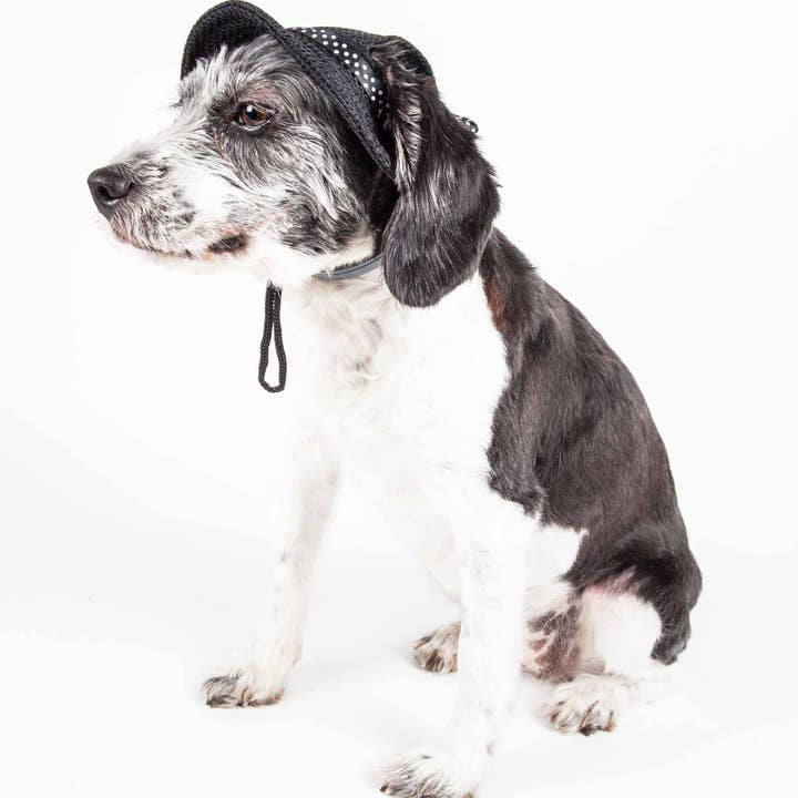 Pet Life - Wholesale Hoed voor honden - Hond - Pet Life ® Sea Spot Sun UV-werende verstelbare hondenhoed met rand1