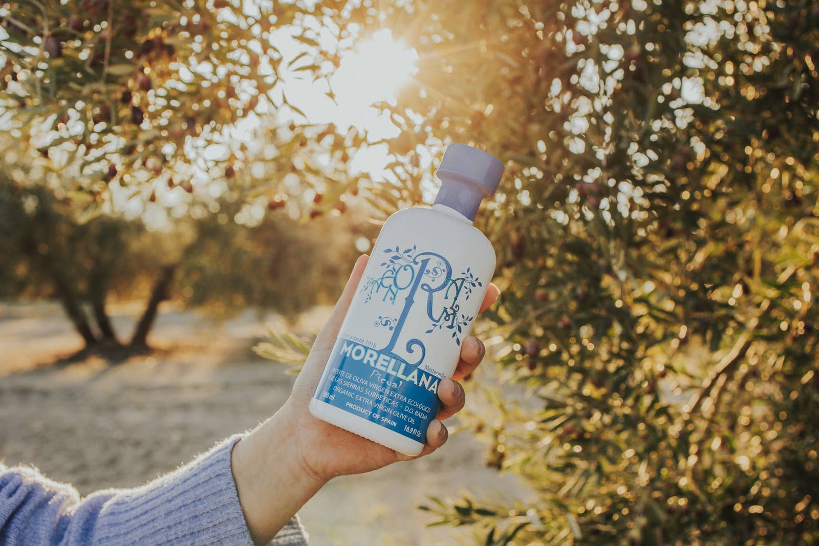 SUCESORES DE HERMANOS LOPEZ S.A. – Azeite por atacado – COPO MORELLANA PICUAL 500 ML6