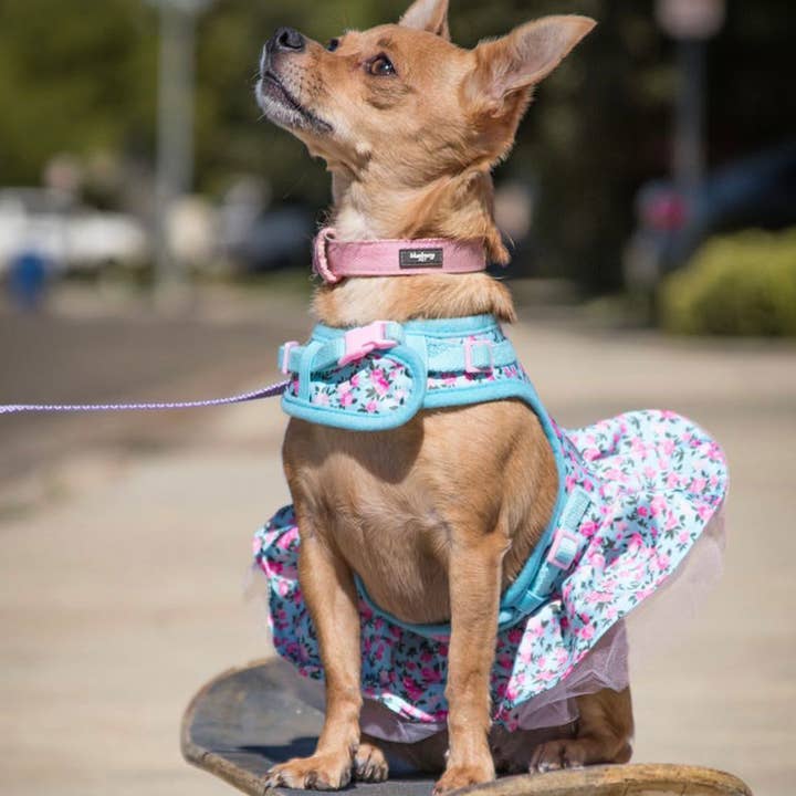 Blueberry Pet - Wholesale Pet Dress - Dog - 👗 6 Colors, 🌸Made Well Floral Dog Dress Harness