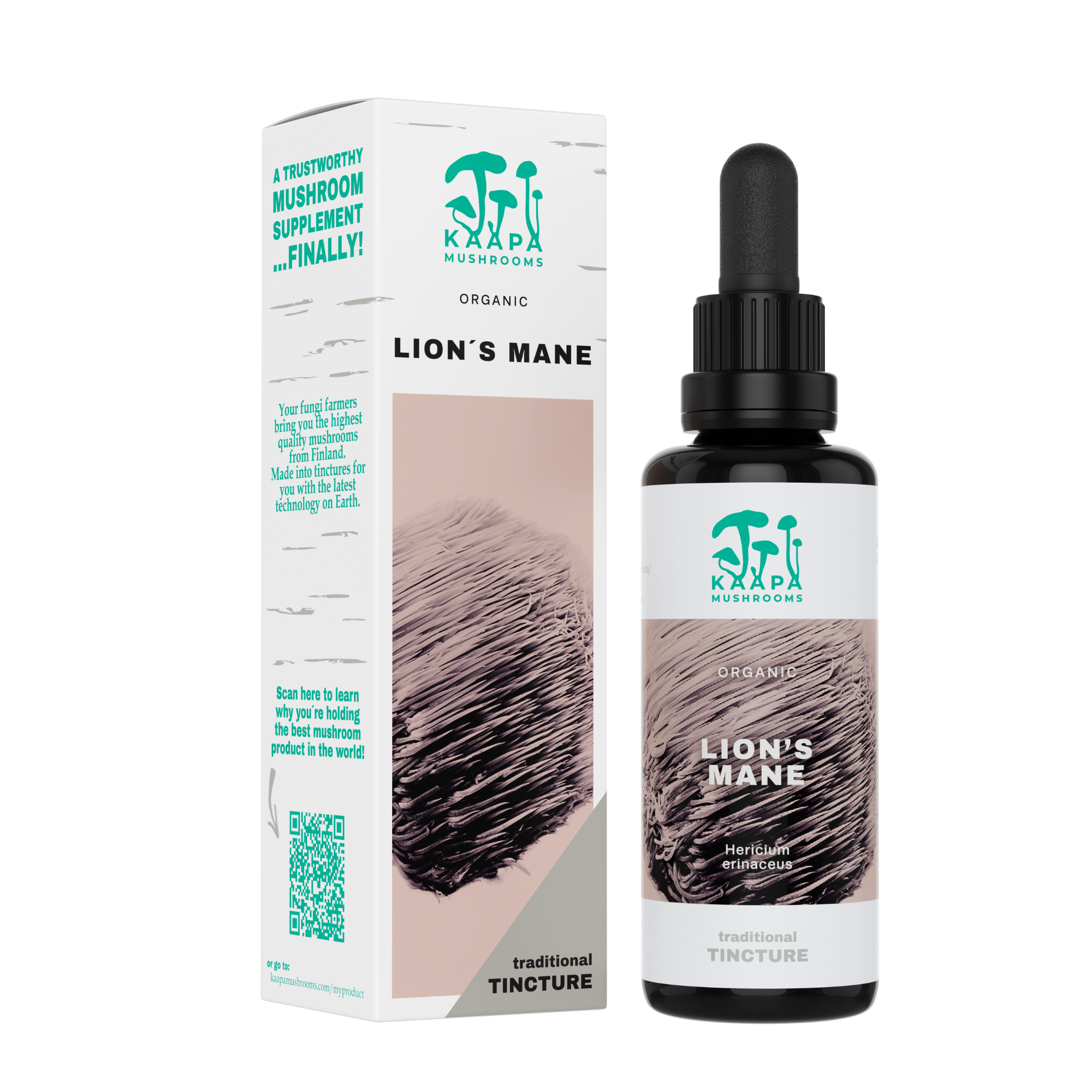Kaapa Mushrooms UK - Wholesale Tincture - Lion's Mane Mushroom Extract Tincture - Organic - 50ml0