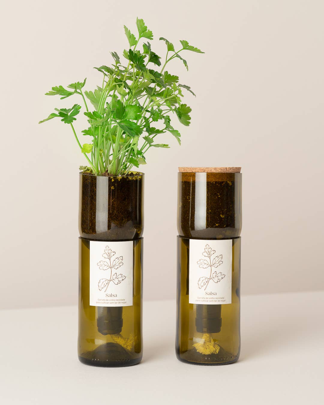 Life in a bag - Wholesale Plant Pot - Grow Bottle Salsa