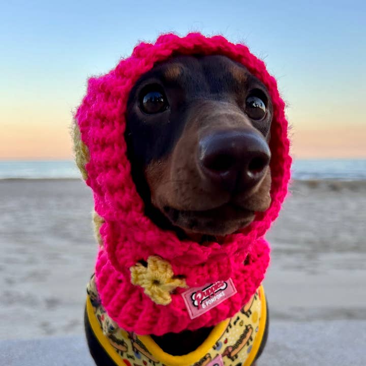 Bonnet cagoule pour chien en crochet - rose vif pour la vente par Puppies & Pom Poms