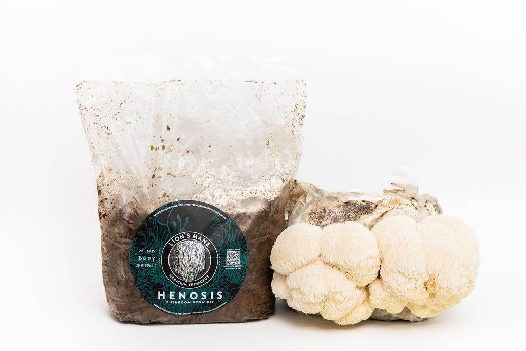 HENOSIS - Wholesale DIY Food Kit - Lion's Mane Mushroom Grow Kit7
