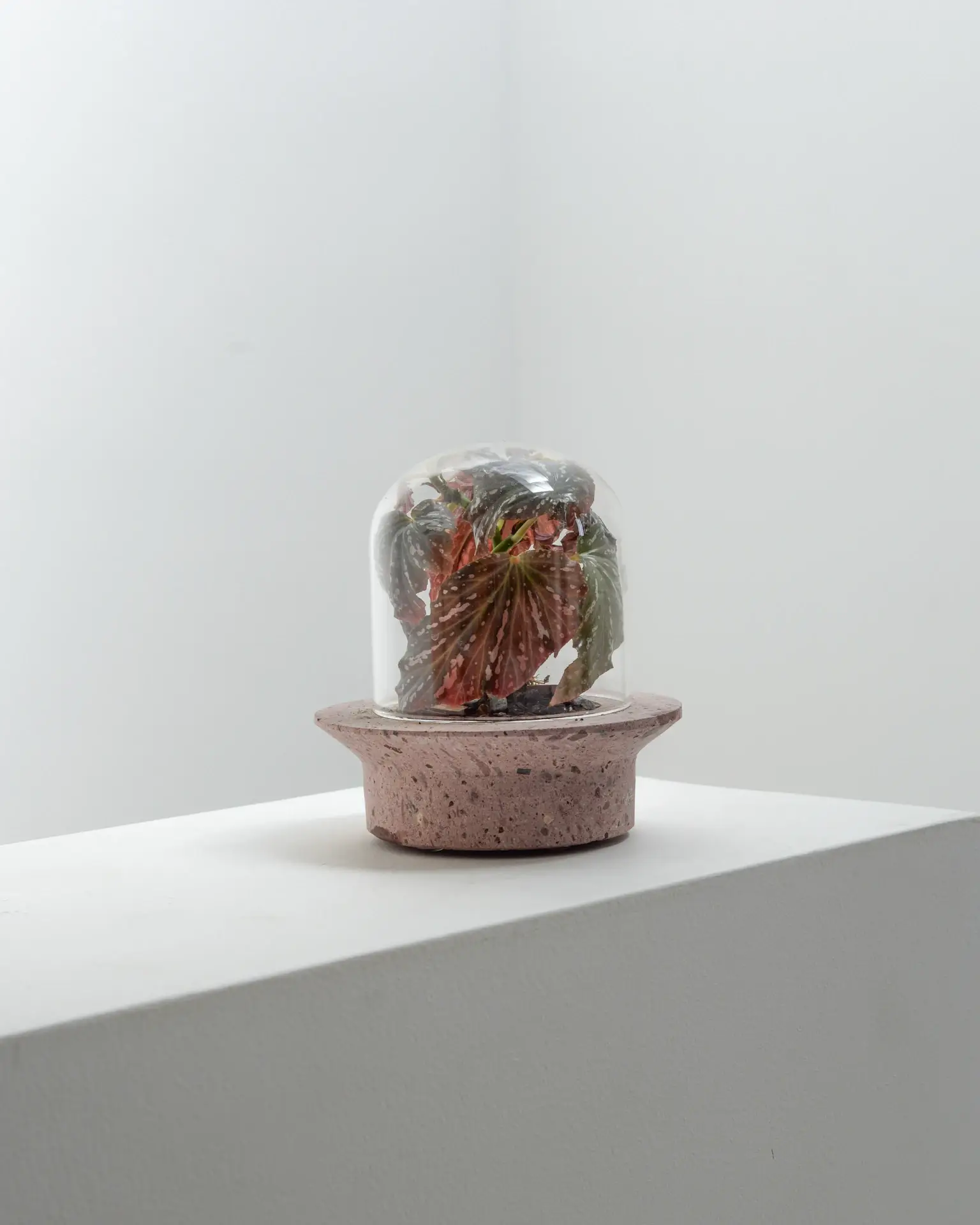 Pietra grigia Fioriera per terrario UFO in vendita all'ingrosso su Faire6